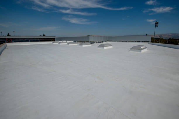 Best Solar Panel Roofing Installation  in Mountain City, TN