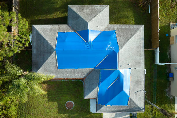 Best Skylight Installation and Repair  in Mountain City, TN